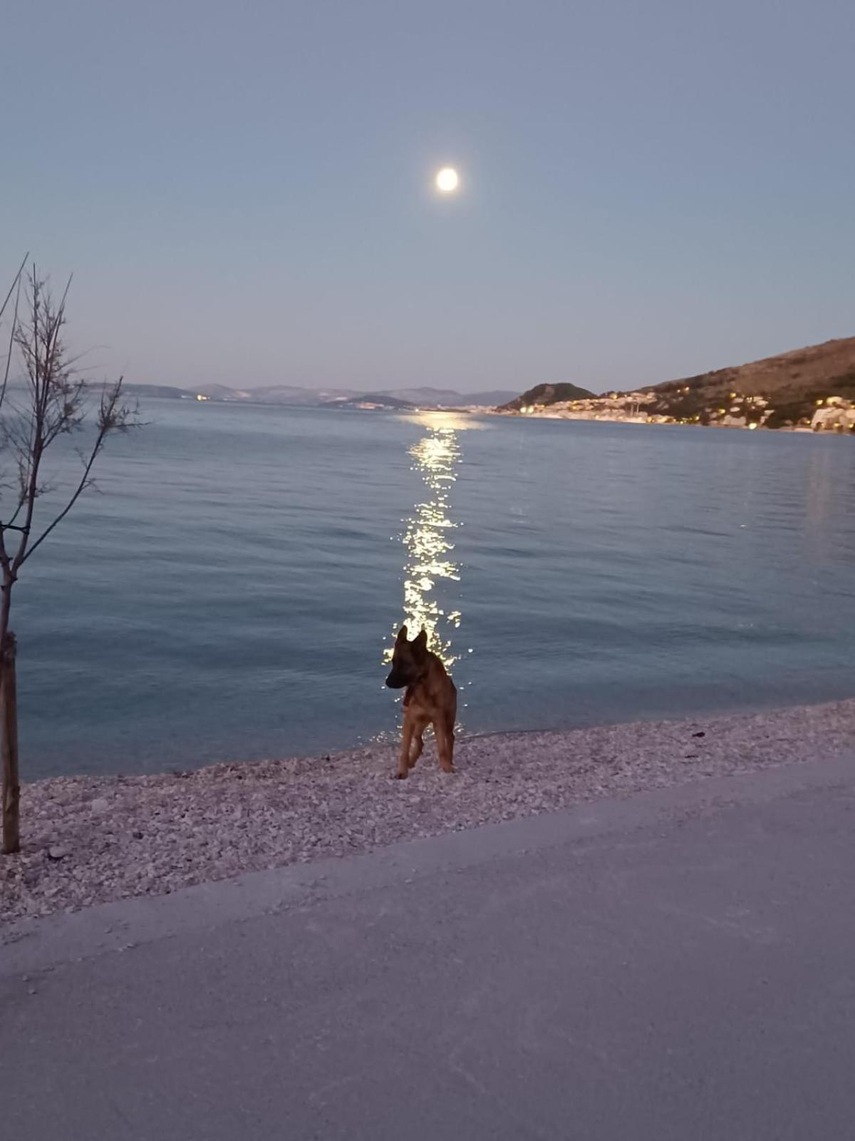 Guest House Adria Dugi Rat Εξωτερικό φωτογραφία